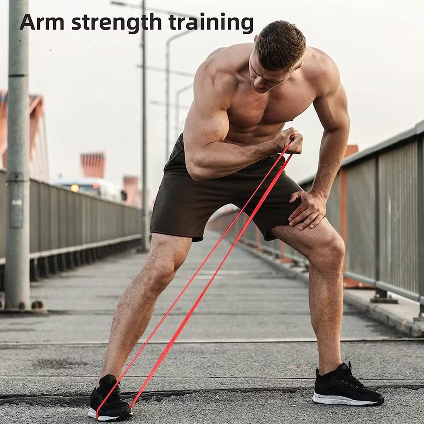 Premium 5-Level Resistance Bands Set - Progressive Strength Training Pull-Up Assistance Bands - Versatile Exercise Bands for Home Workouts, Physical Therapy, Stretching & Muscle Building - Complete