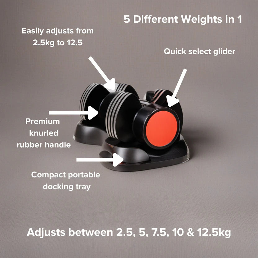 Pair of dumbbells with features highlighted on a gray background