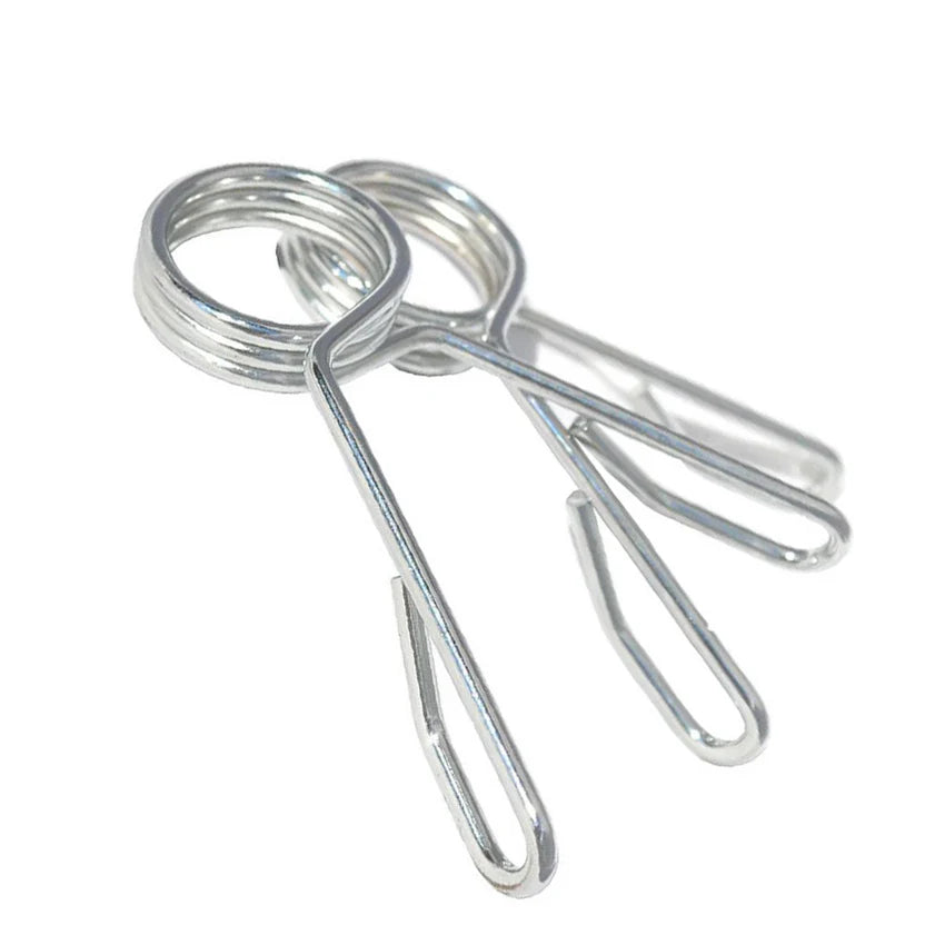 Two metal spring clips on a white background