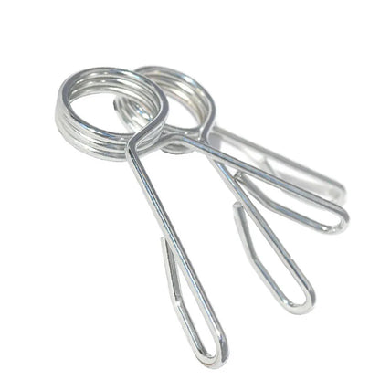 Two metal spring clips on a white background